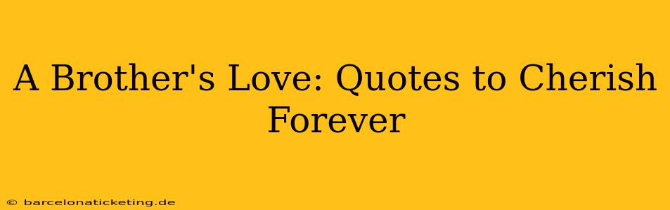 A Brother's Love: Quotes to Cherish Forever