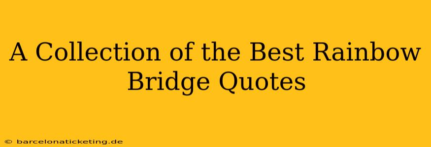 A Collection of the Best Rainbow Bridge Quotes