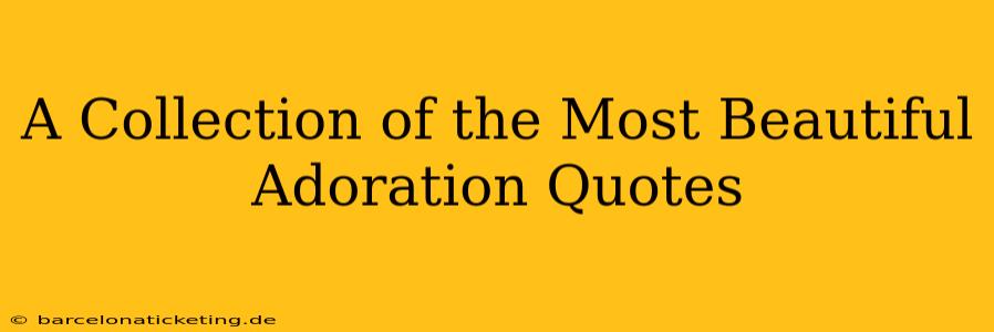 A Collection of the Most Beautiful Adoration Quotes