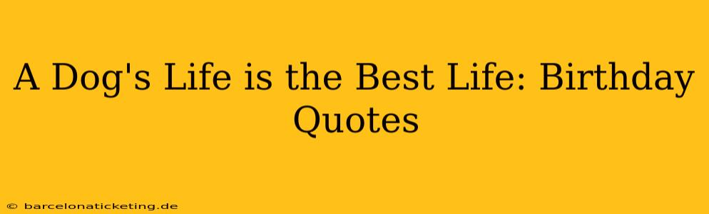 A Dog's Life is the Best Life: Birthday Quotes
