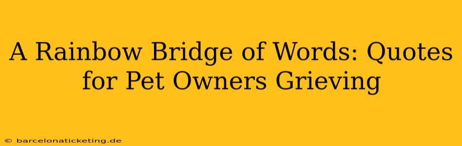 A Rainbow Bridge of Words: Quotes for Pet Owners Grieving