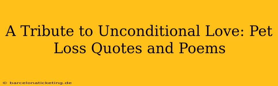 A Tribute to Unconditional Love: Pet Loss Quotes and Poems