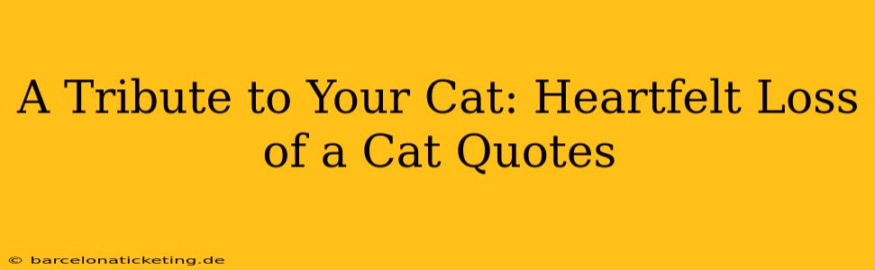 A Tribute to Your Cat: Heartfelt Loss of a Cat Quotes