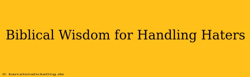 Biblical Wisdom for Handling Haters