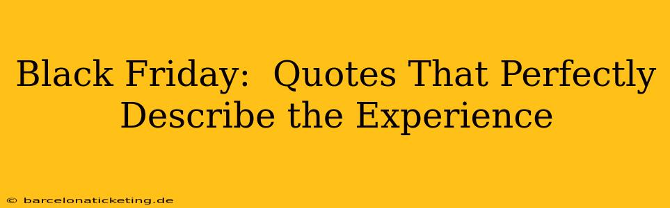 Black Friday:  Quotes That Perfectly Describe the Experience