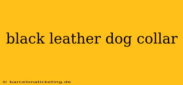 black leather dog collar