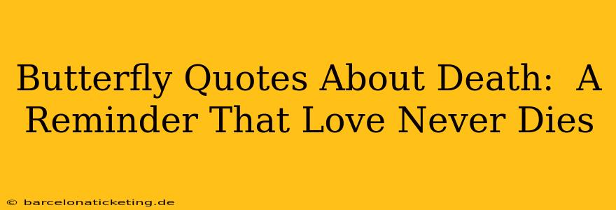 Butterfly Quotes About Death:  A Reminder That Love Never Dies