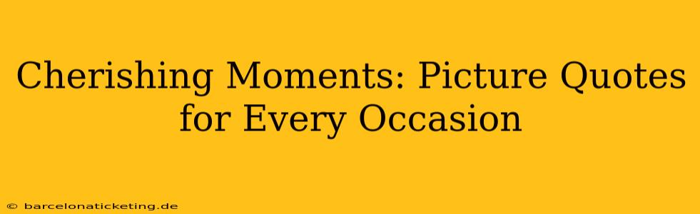 Cherishing Moments: Picture Quotes for Every Occasion