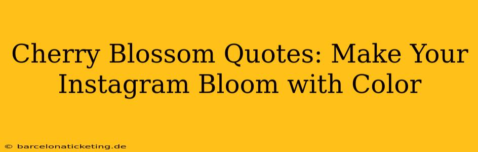 Cherry Blossom Quotes: Make Your Instagram Bloom with Color
