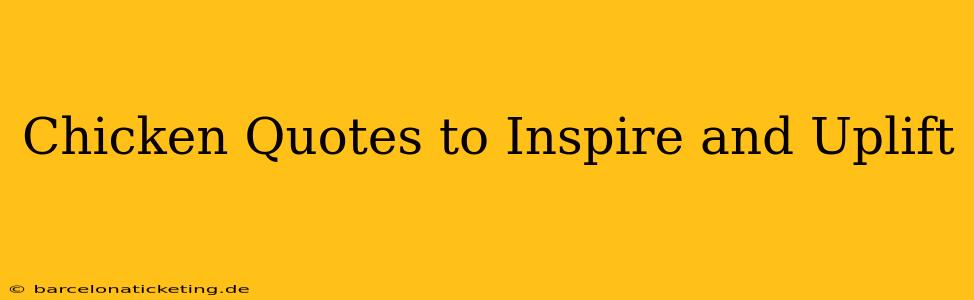 Chicken Quotes to Inspire and Uplift