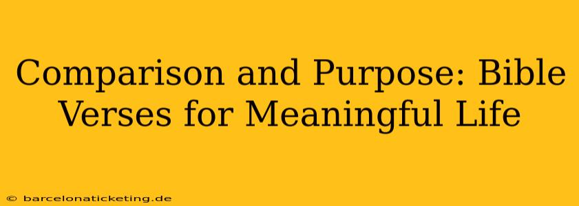 Comparison and Purpose: Bible Verses for Meaningful Life