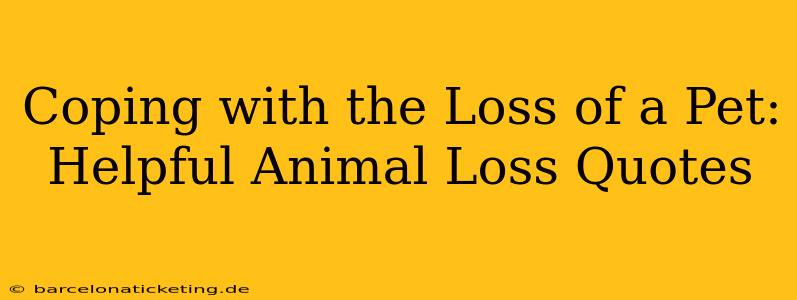 Coping with the Loss of a Pet: Helpful Animal Loss Quotes