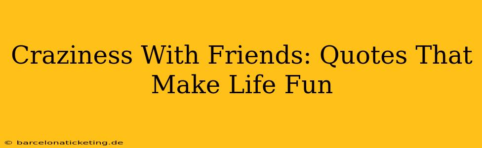 Craziness With Friends: Quotes That Make Life Fun
