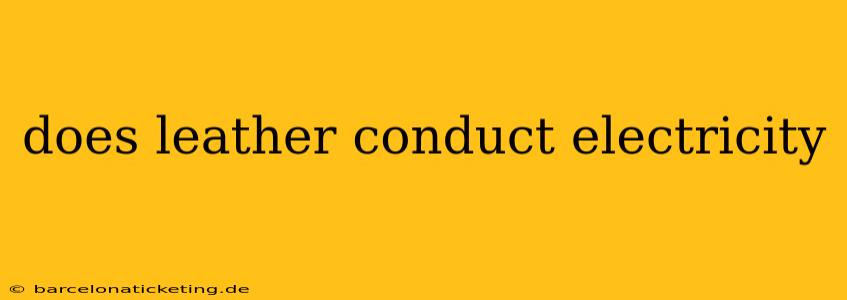 does leather conduct electricity