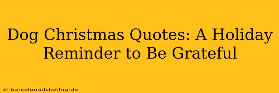 Dog Christmas Quotes: A Holiday Reminder to Be Grateful
