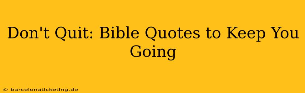 Don't Quit: Bible Quotes to Keep You Going