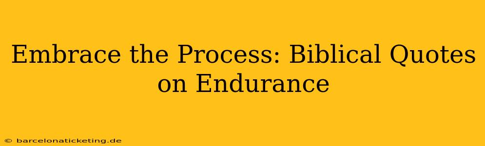 Embrace the Process: Biblical Quotes on Endurance