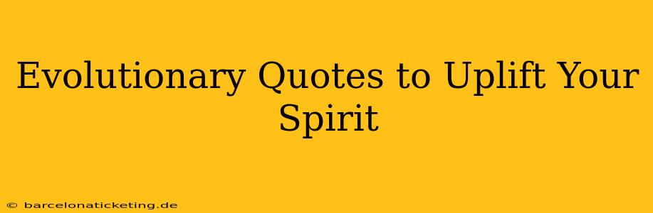 Evolutionary Quotes to Uplift Your Spirit