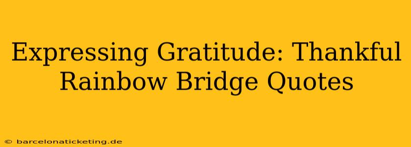 Expressing Gratitude: Thankful Rainbow Bridge Quotes