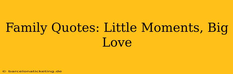 Family Quotes: Little Moments, Big Love