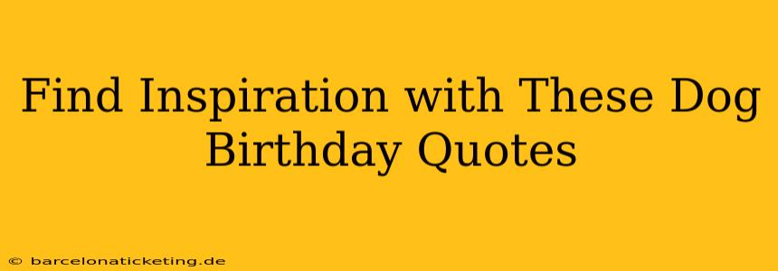 Find Inspiration with These Dog Birthday Quotes