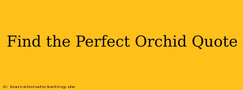 Find the Perfect Orchid Quote