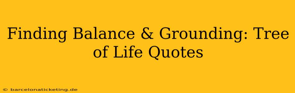 Finding Balance & Grounding: Tree of Life Quotes