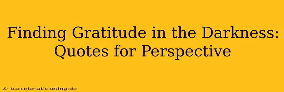 Finding Gratitude in the Darkness: Quotes for Perspective