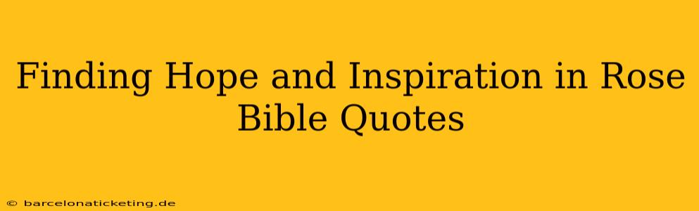 Finding Hope and Inspiration in Rose Bible Quotes