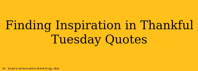 Finding Inspiration in Thankful Tuesday Quotes