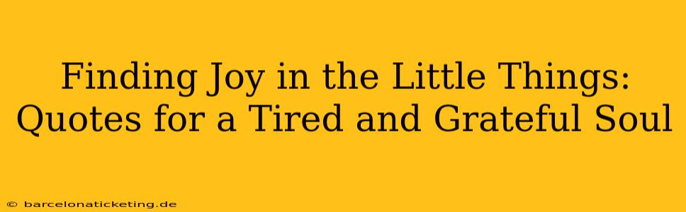 Finding Joy in the Little Things: Quotes for a Tired and Grateful Soul