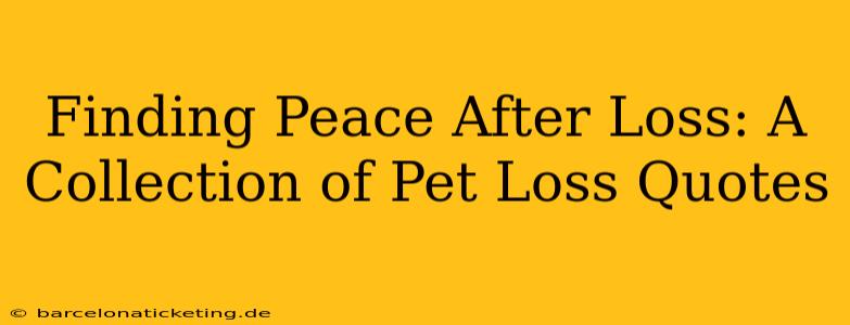 Finding Peace After Loss: A Collection of Pet Loss Quotes