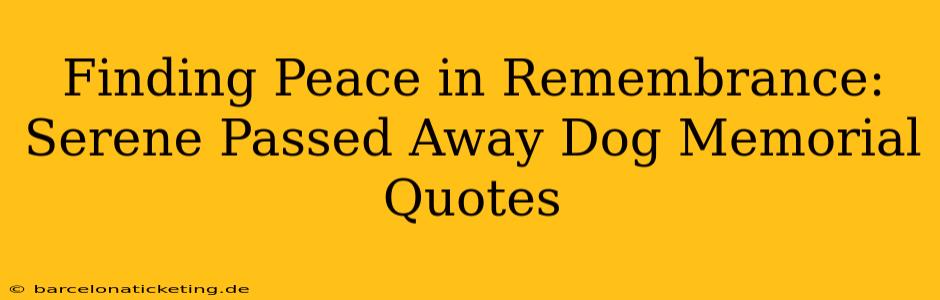Finding Peace in Remembrance:  Serene Passed Away Dog Memorial Quotes