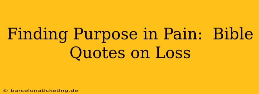 Finding Purpose in Pain:  Bible Quotes on Loss