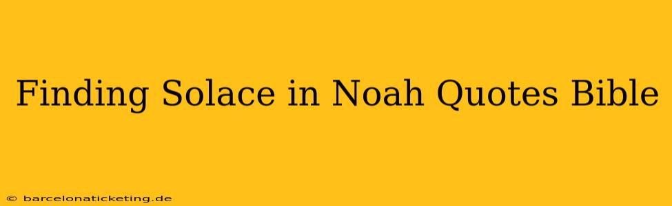 Finding Solace in Noah Quotes Bible