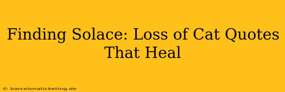 Finding Solace: Loss of Cat Quotes That Heal