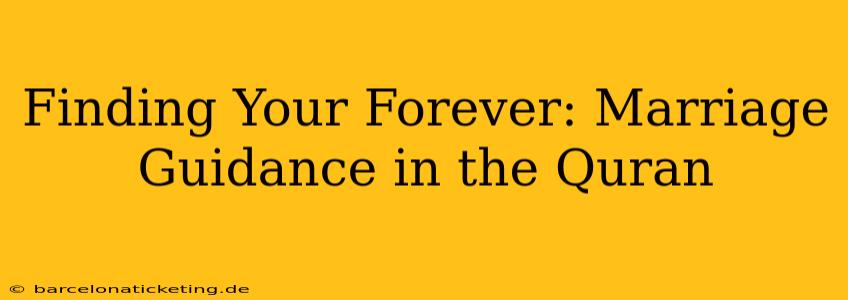 Finding Your Forever: Marriage Guidance in the Quran
