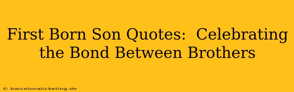 First Born Son Quotes:  Celebrating the Bond Between Brothers