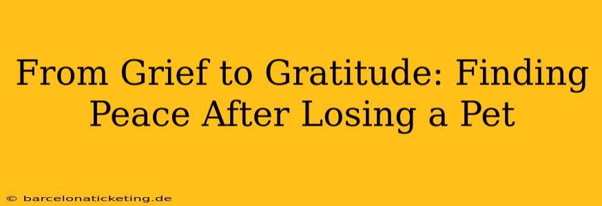 From Grief to Gratitude: Finding Peace After Losing a Pet