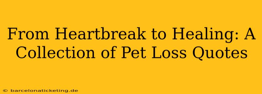 From Heartbreak to Healing: A Collection of Pet Loss Quotes