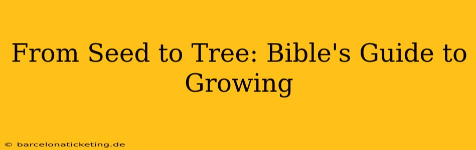 From Seed to Tree: Bible's Guide to Growing