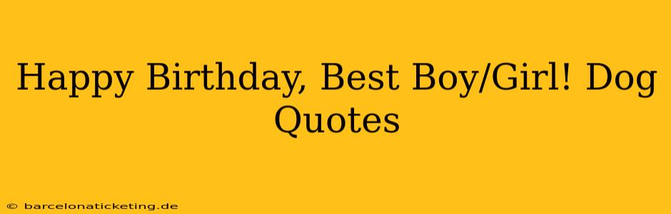 Happy Birthday, Best Boy/Girl! Dog Quotes