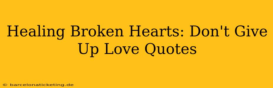 Healing Broken Hearts: Don't Give Up Love Quotes