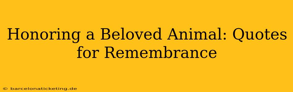 Honoring a Beloved Animal: Quotes for Remembrance