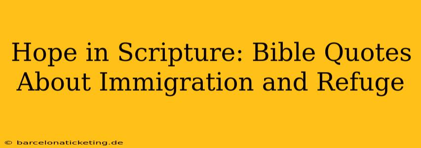 Hope in Scripture: Bible Quotes About Immigration and Refuge