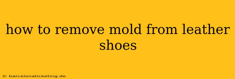 how to remove mold from leather shoes