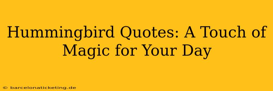 Hummingbird Quotes: A Touch of Magic for Your Day