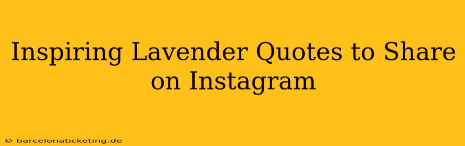 Inspiring Lavender Quotes to Share on Instagram
