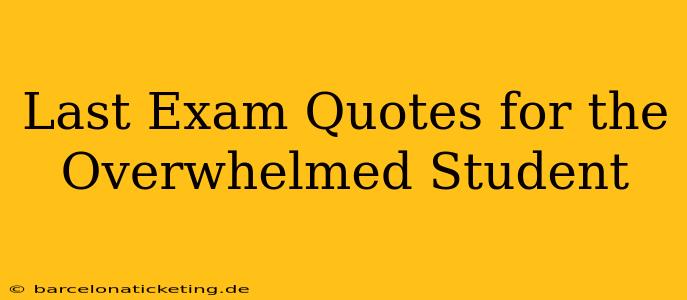 Last Exam Quotes for the Overwhelmed Student
