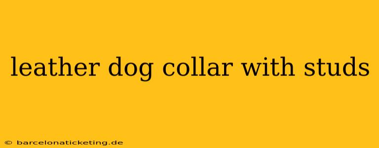 leather dog collar with studs